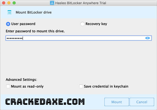Hasleo BitLocker Anywhere Crack