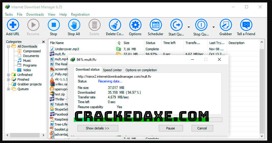 Internet Download Accelerator Crack